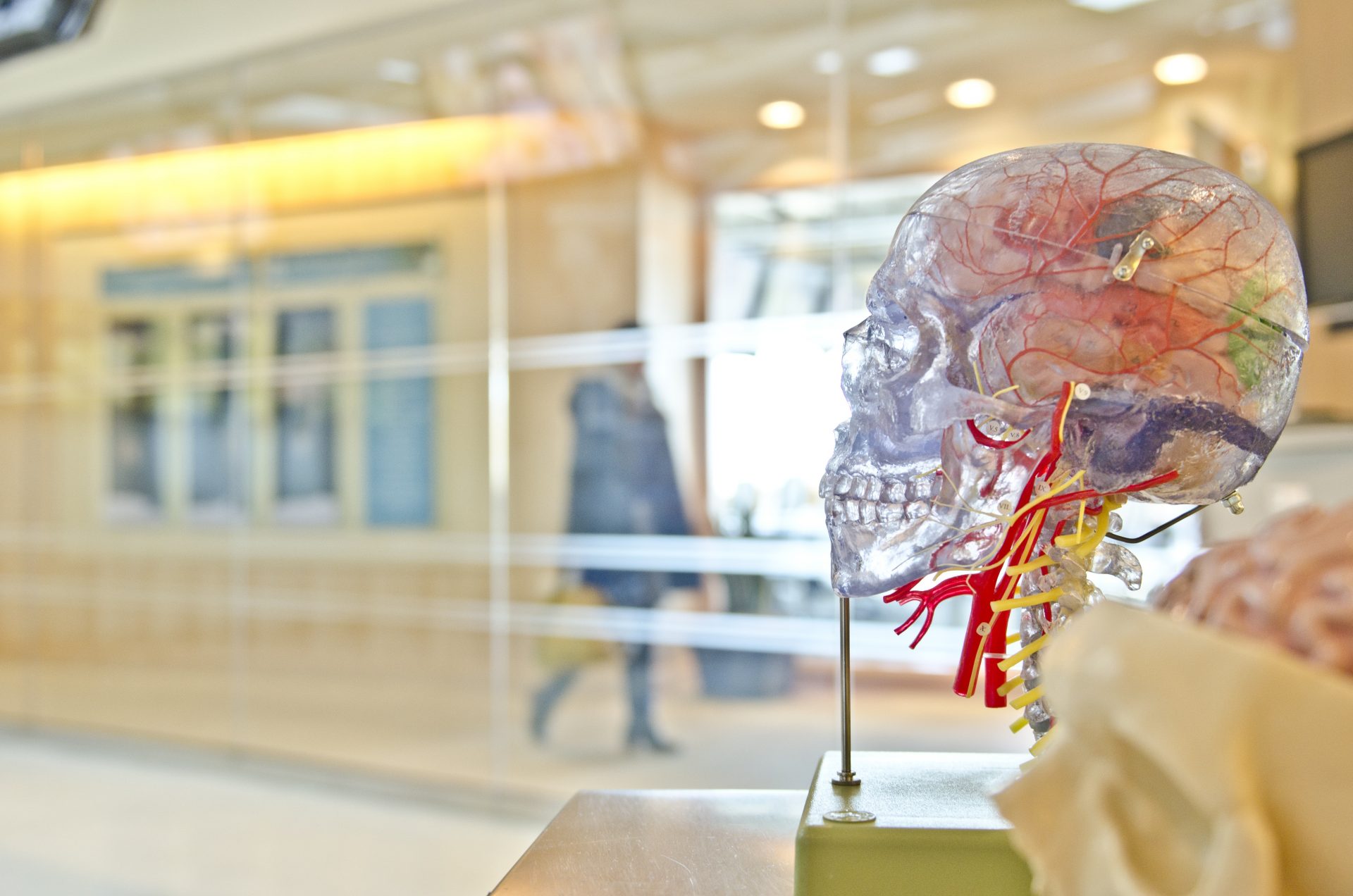 stroke, traumatic brain injury and medical marijuana