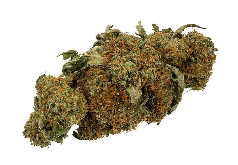 Cannabis; pot; hemp; bud; gram of cannabis; weed; marijuana; growing; dried cannabis flower.