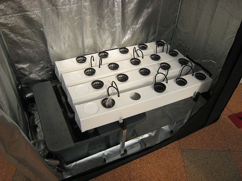 Un sistema hidropónico en una caja de cultivo.
