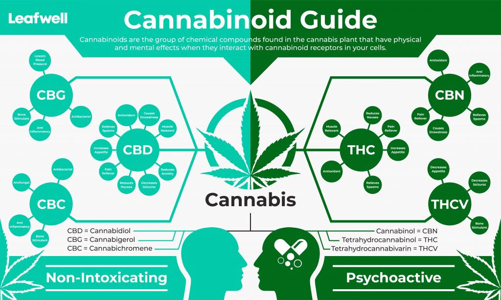 Cannabinoid Guide - Psychoactive & Non-Psychoactive THC, THCV, CBD, CBC, CBG, CBN