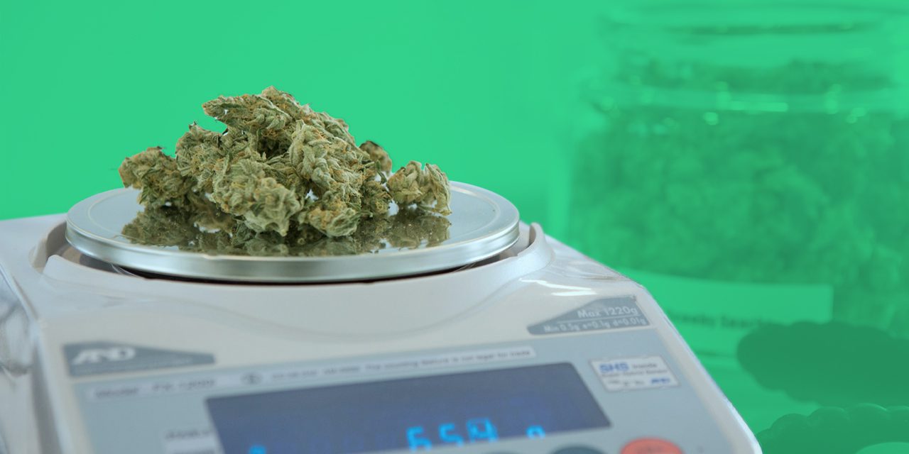 cannabis on a weighing scale with blurry jar of cannabis and tong in the background