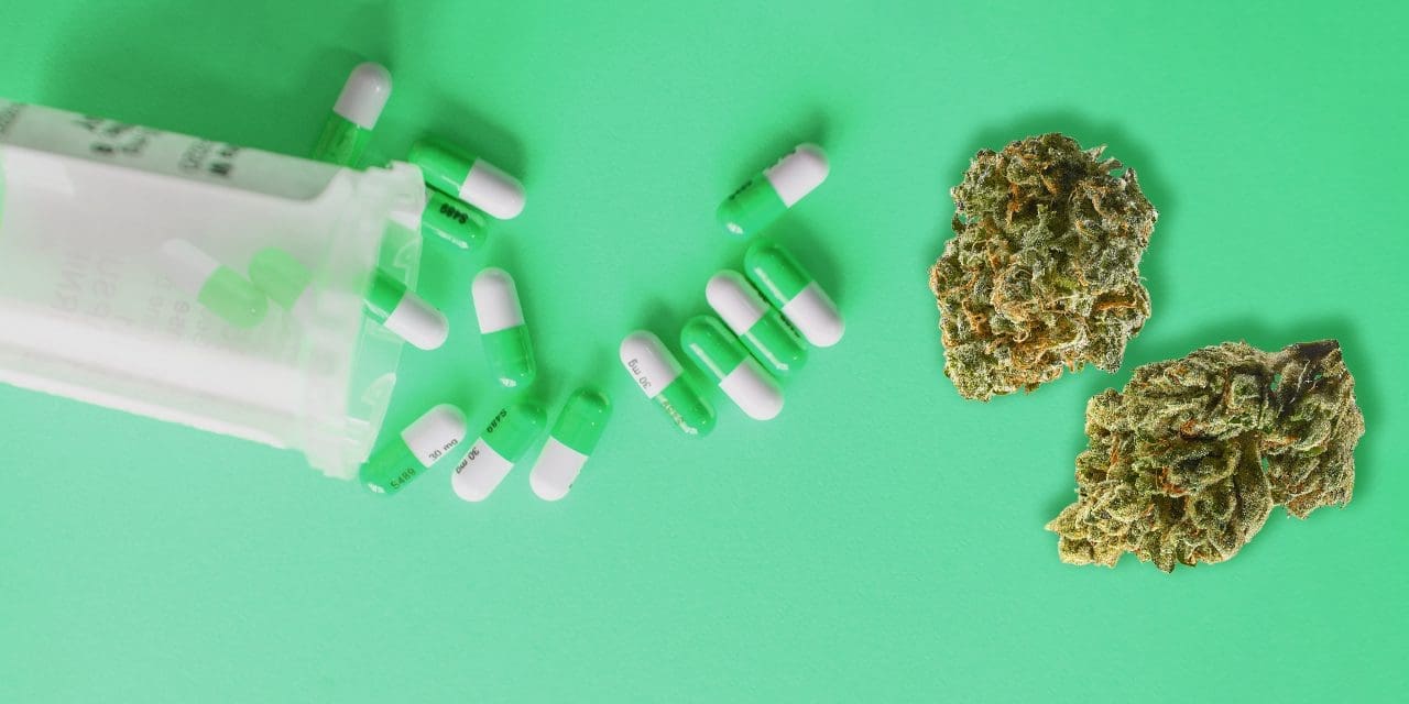 Cannabis medicinal: cómo se administrará y para qué enfermedades