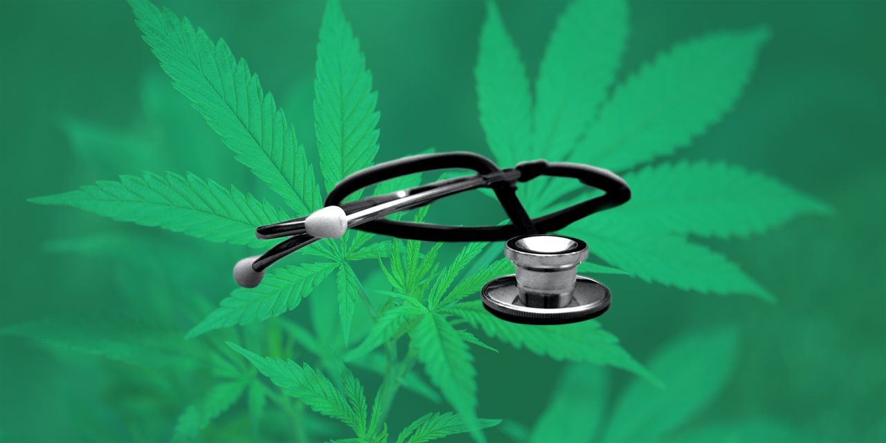 stethoscope with cannabis plant as background