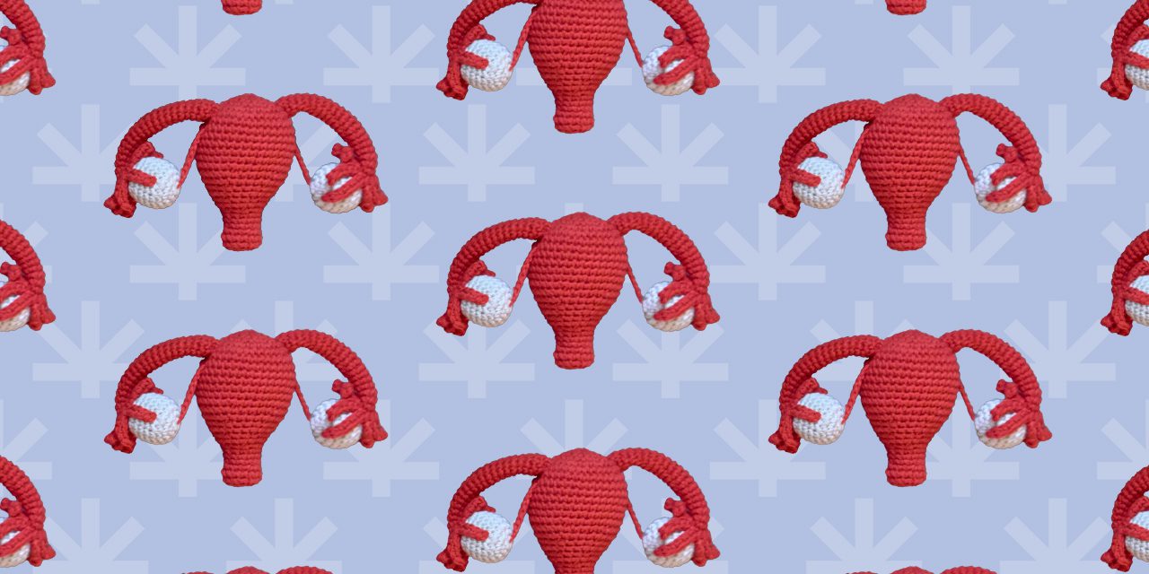alternate crochet image of ovary