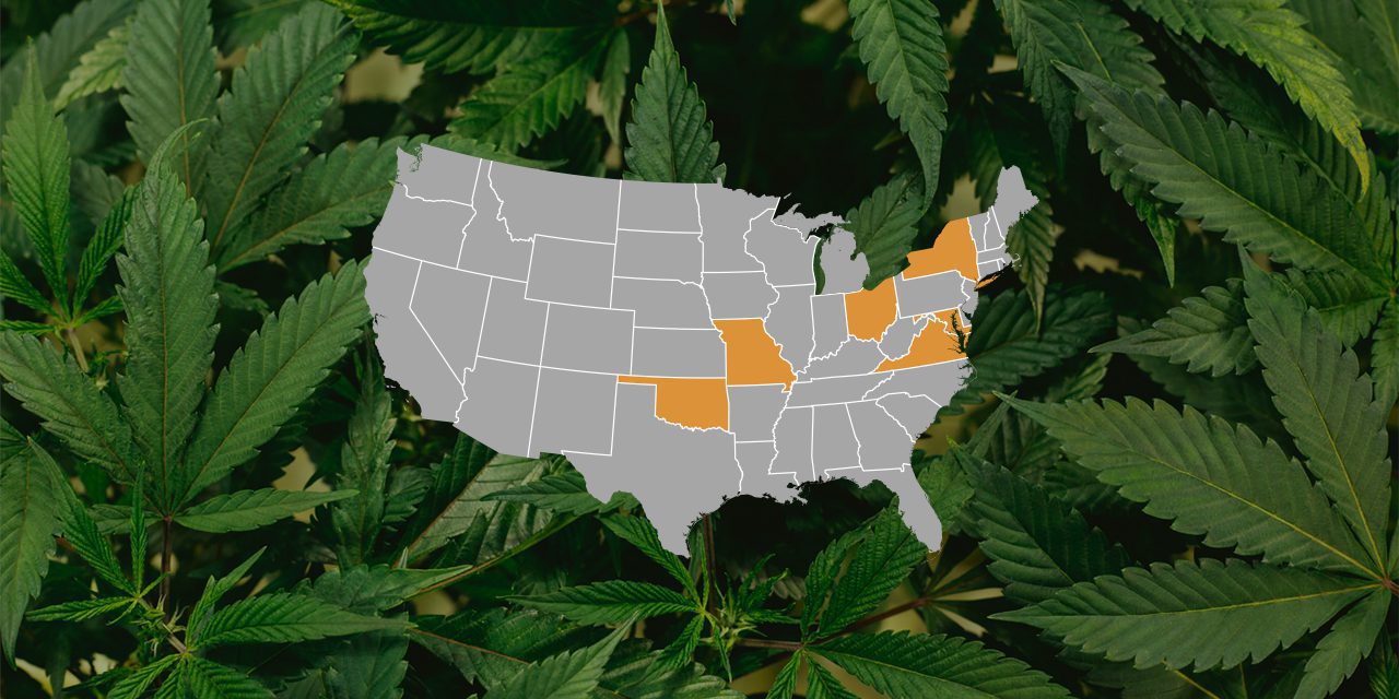 map of united states over a cannabis plant, some 6 states being highlighted with orange