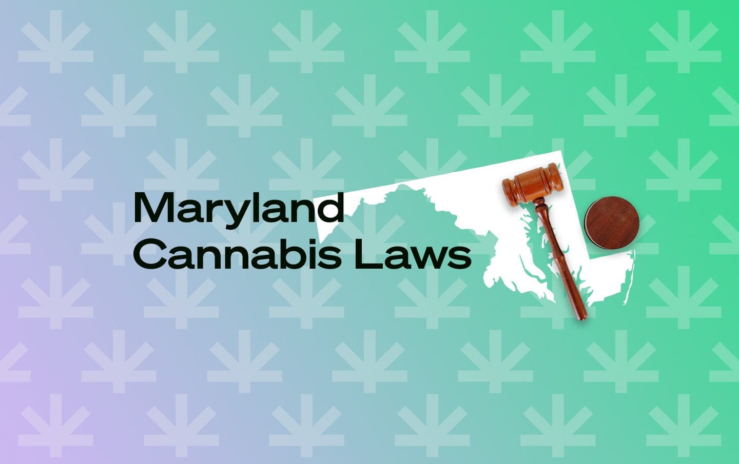 Is Marijuana Legal In Maryland? - Leafwell