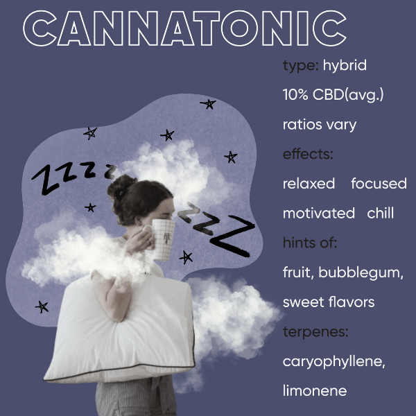 CBD-rich medical cannabis variety / strain Cannatonic and its constituents (effects, terpene profile)