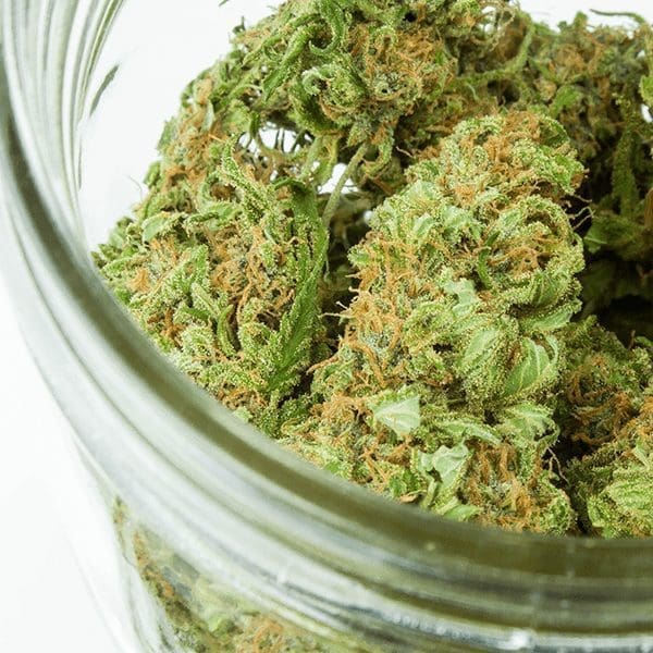 cannabis help glaucoma