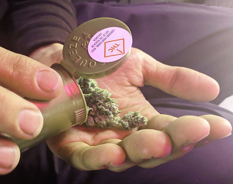 Legal cannabis (marijuana) product in Denver, Colorado. Cannabis in a pot.