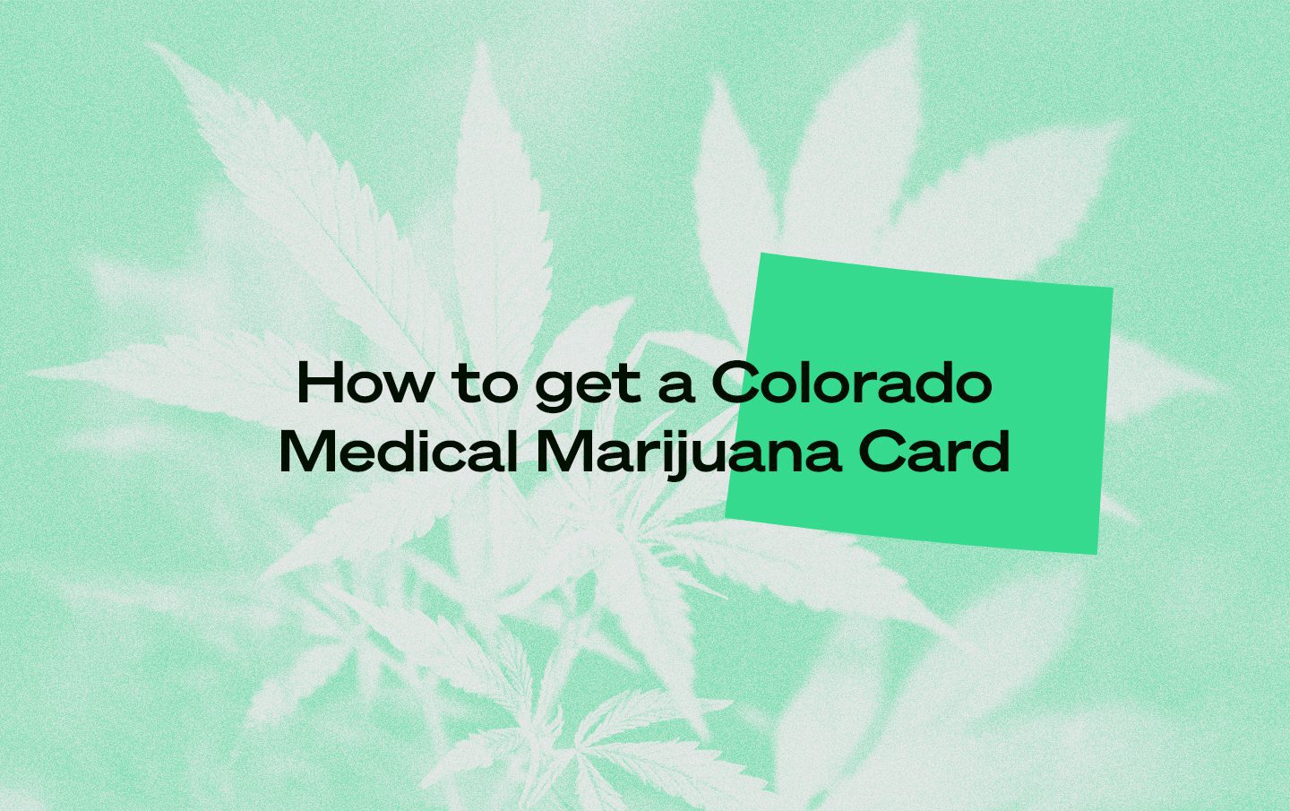 colorado medical marijuana card