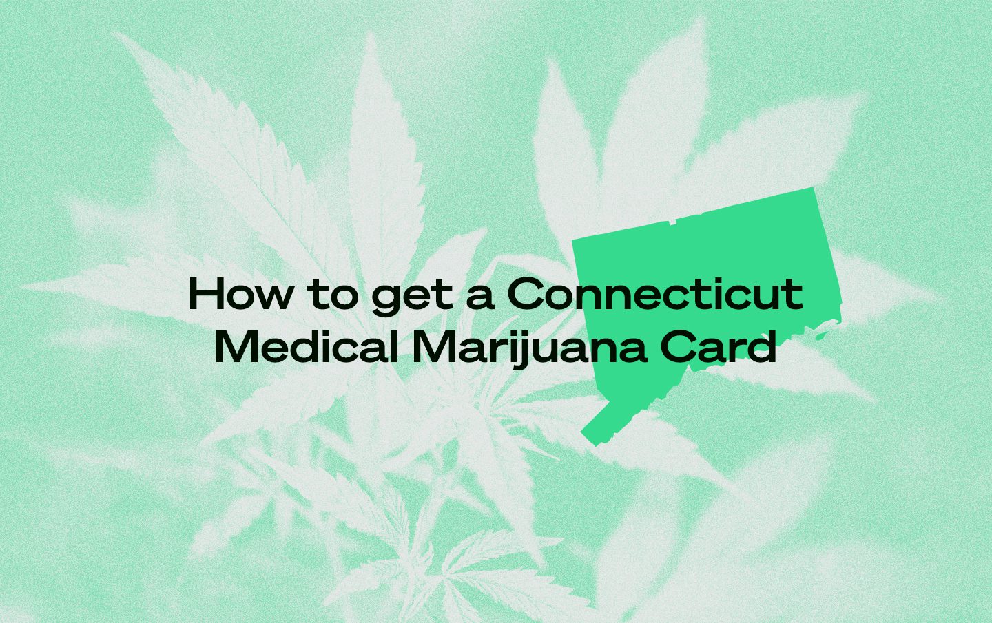 Connecticut marijuana card