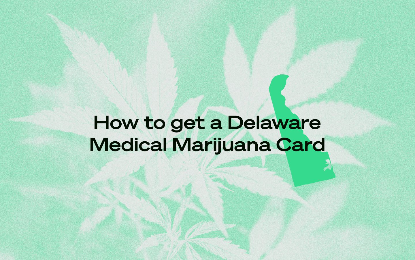 How to get a Delaware medical marijuana card online with Leafwell.