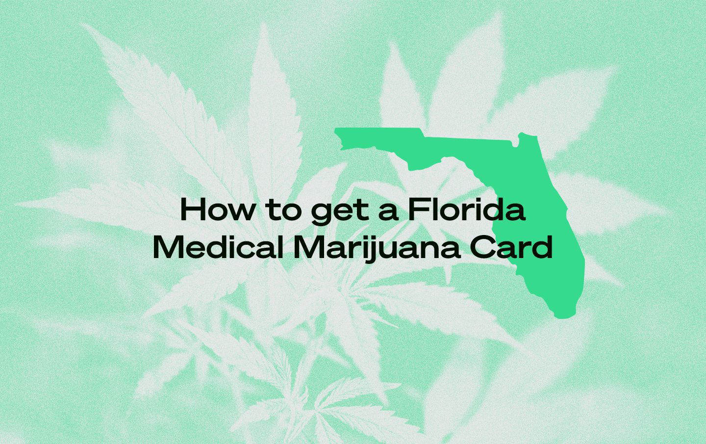 Florida marijuana card