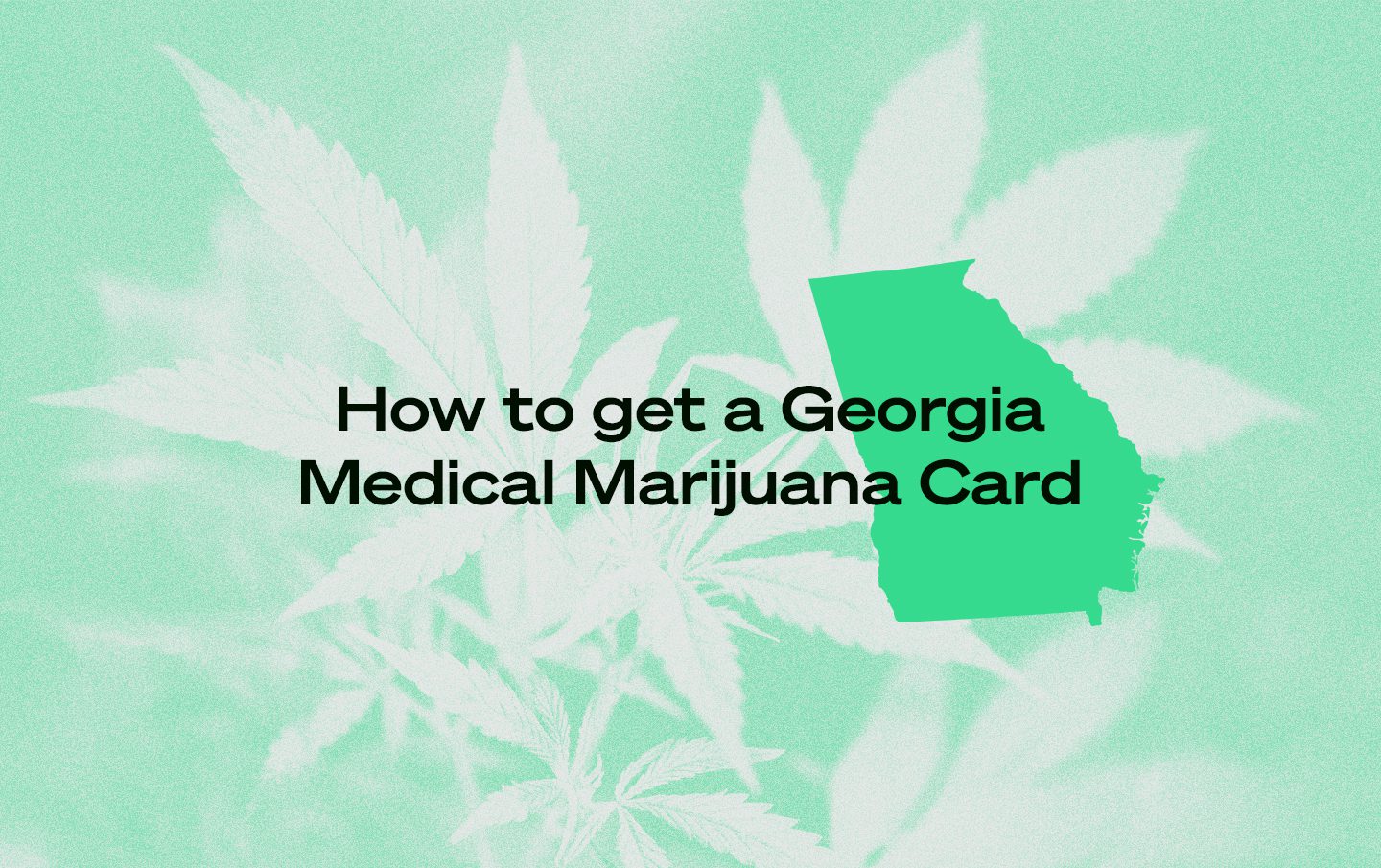 Georgia Medical Marijuana Card