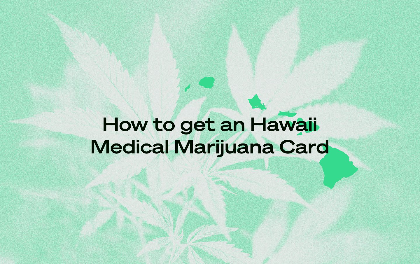 Hawaii medical marijuana card