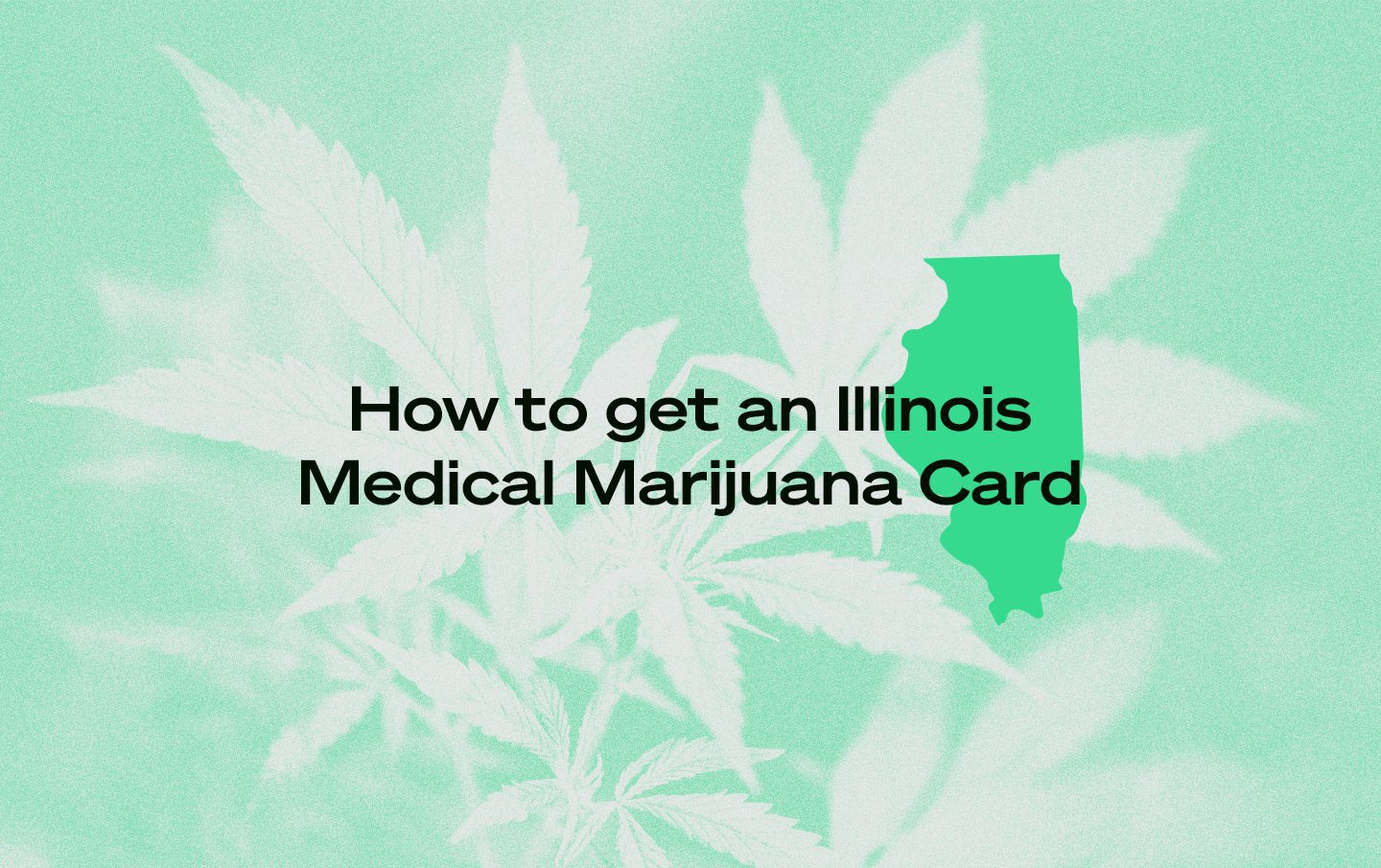 Illinois marijuana card