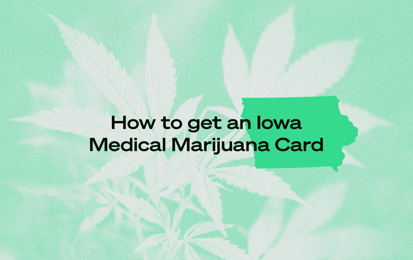 Iowa medical marijuana card