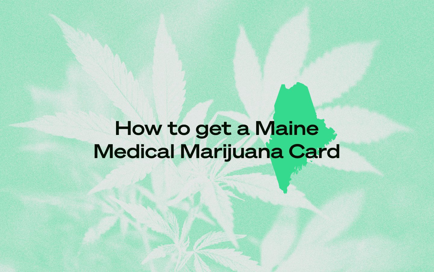 How to get a Medical Marijuana Card text over cannabis plant and Maine map