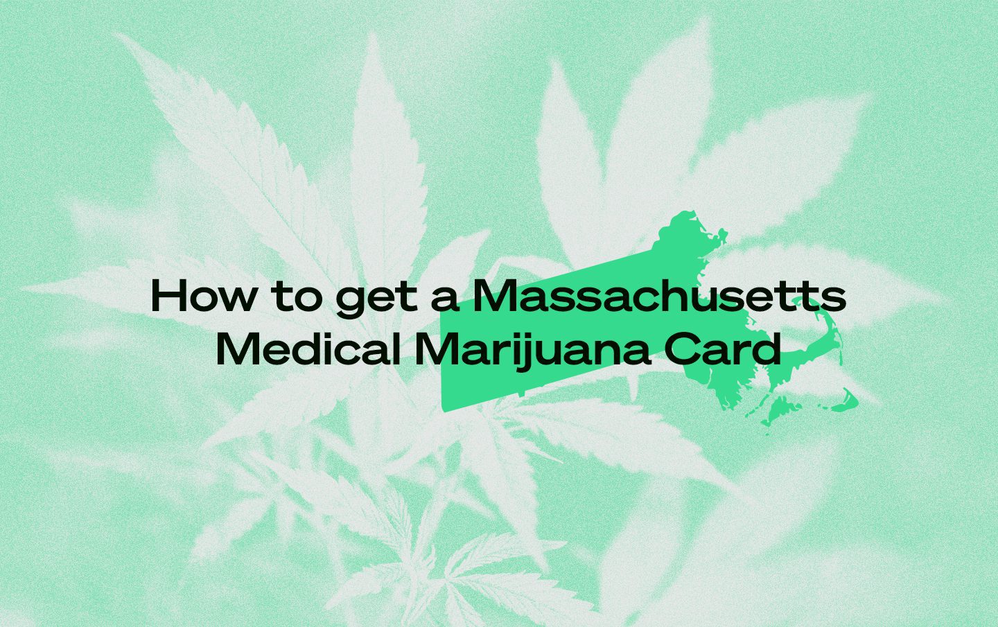 Massachusetts marijuana card