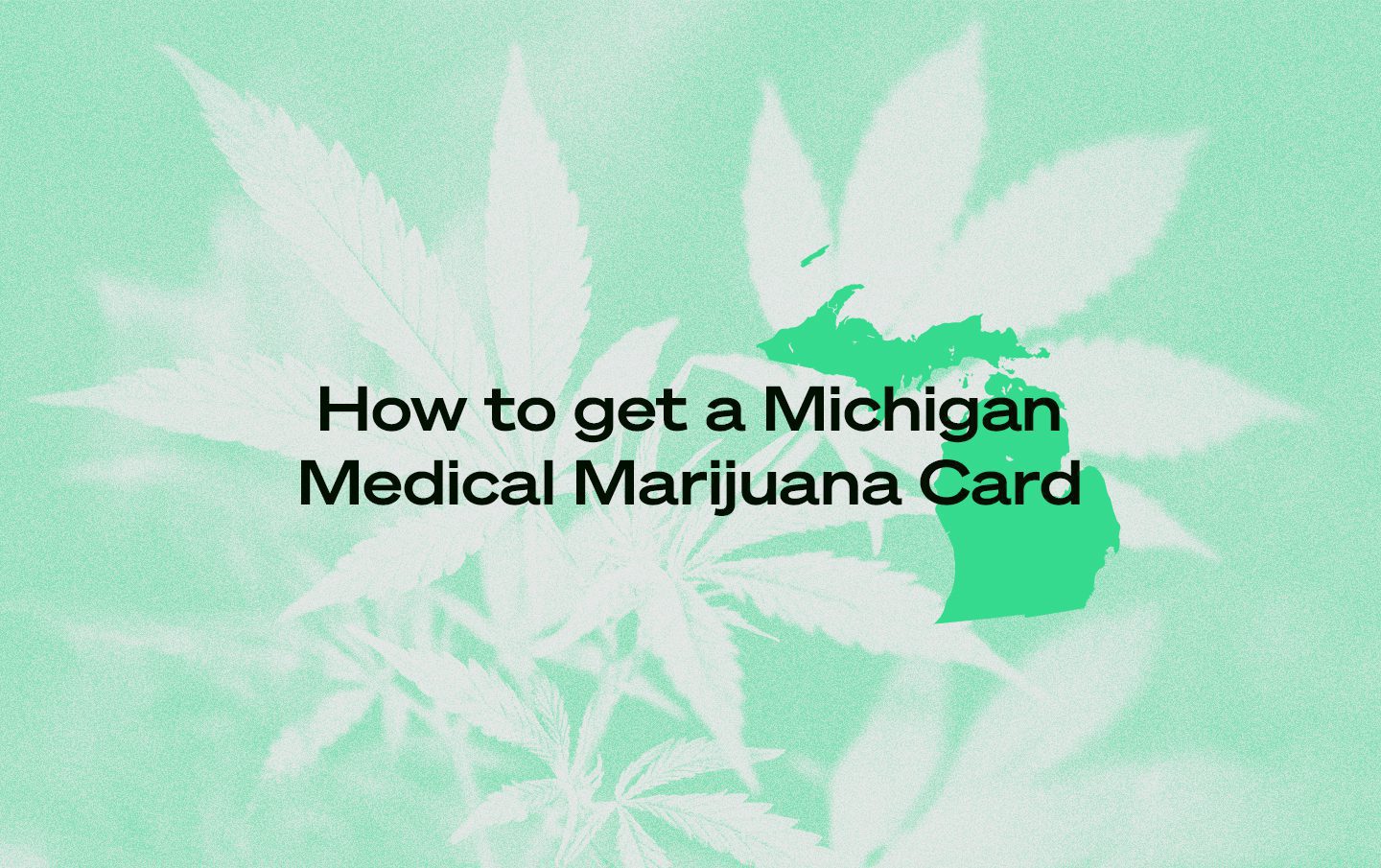 Michigan Medical Marijuana Card