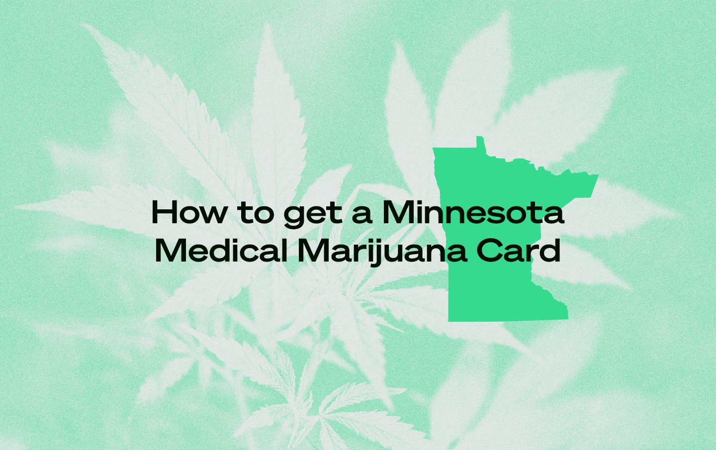 Minnesota marijuana card