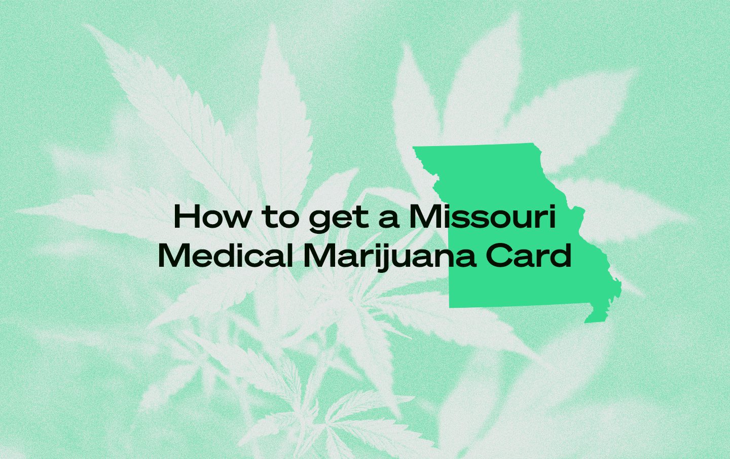 Missouri marijuana card