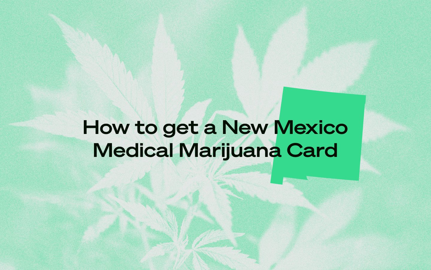 New Mexico Medical Marijuana Card