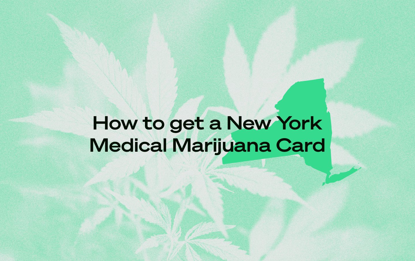 New York marijuana card