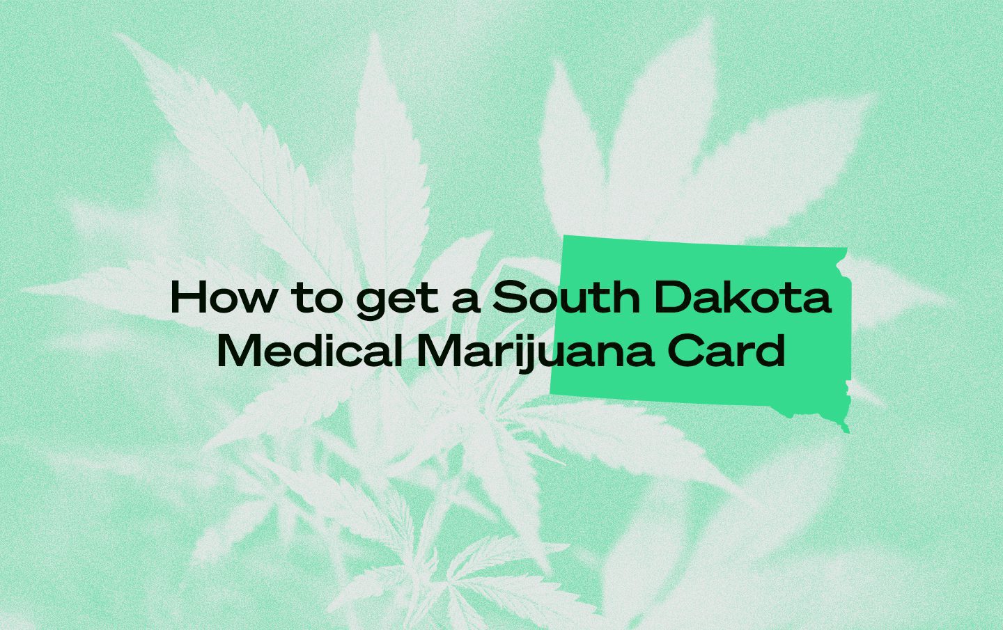 South Dakota medical marijuana card