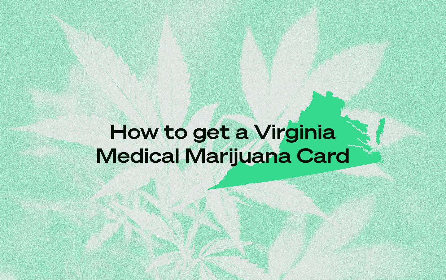 Virginia marijuana card