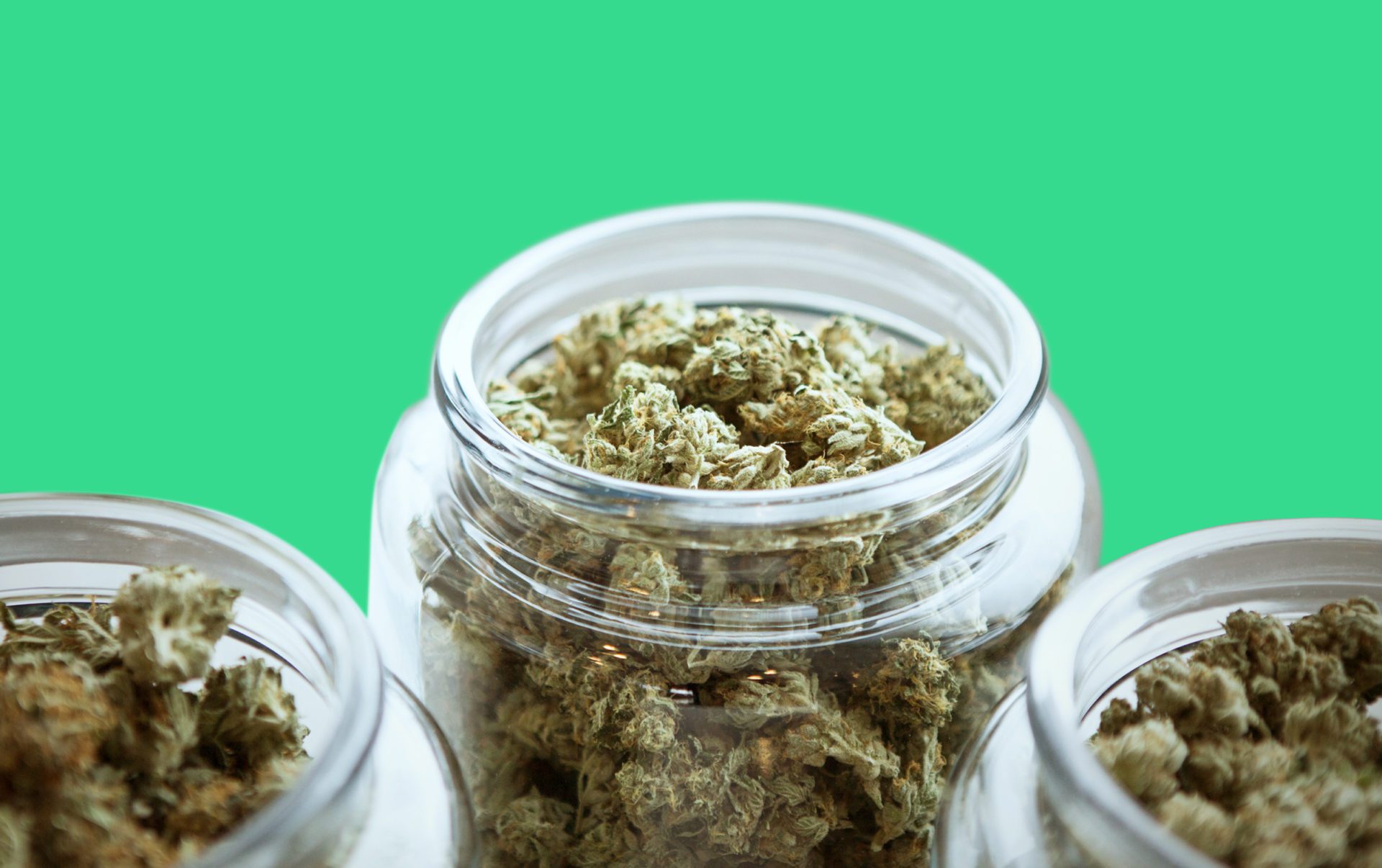 10 Best Weed Strains for Beginners
