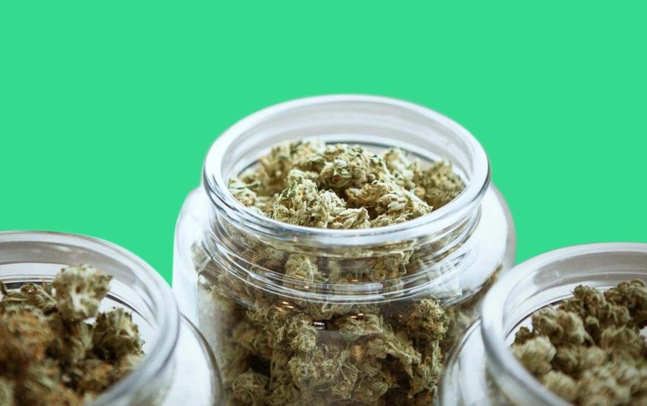 10 Best Weed Strains For Beginners