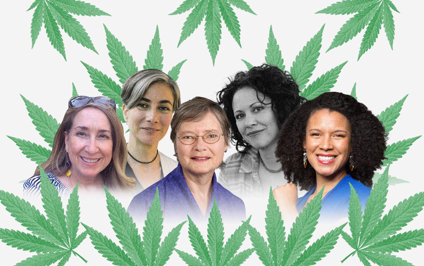 Women who are advancing cannabis science