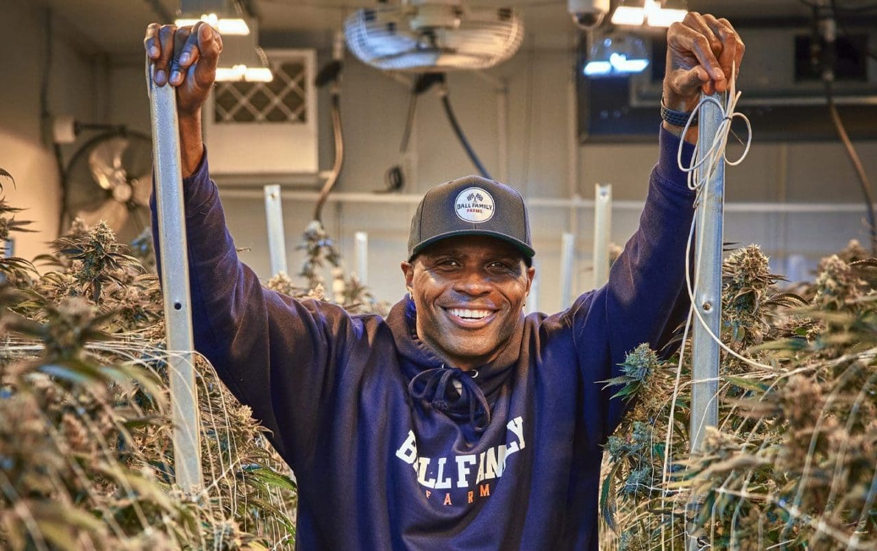 How Chris Ball went from professional football to a pot farm - Los Angeles  Times