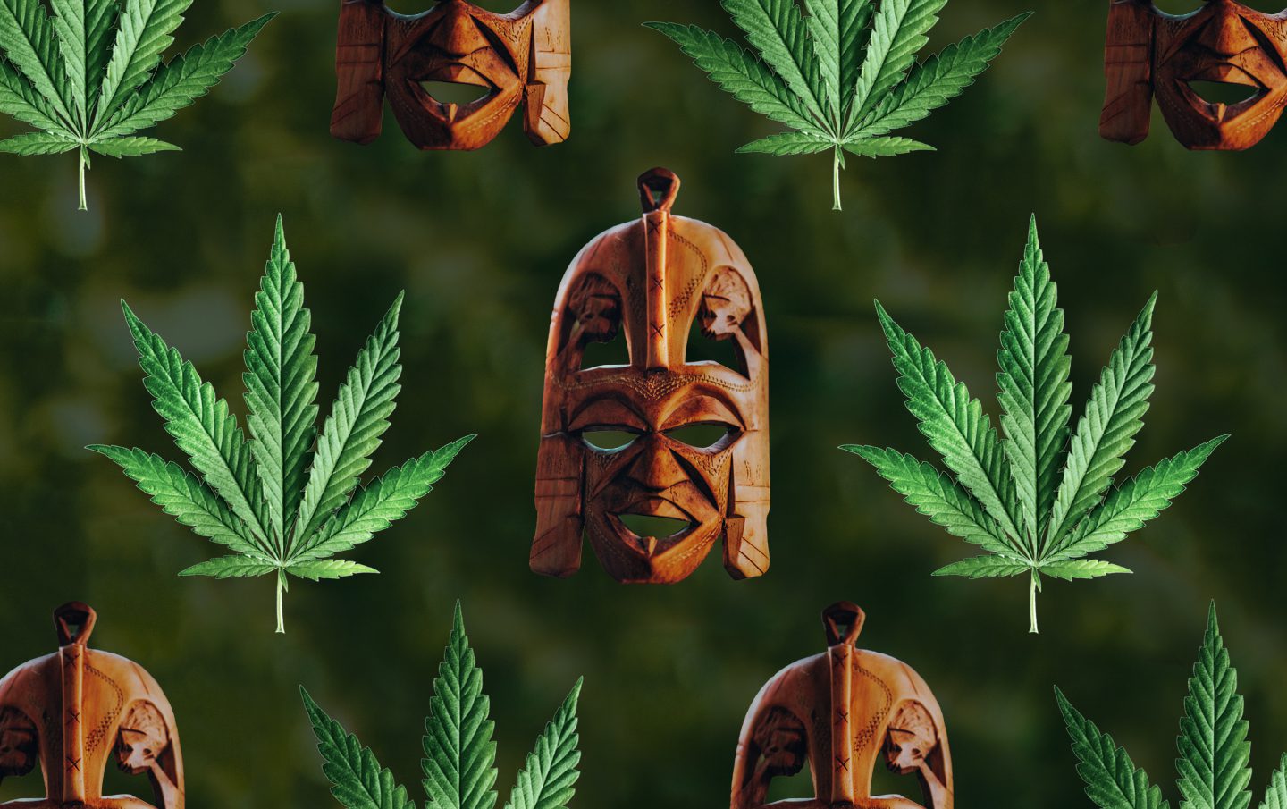 history cannabis africa
