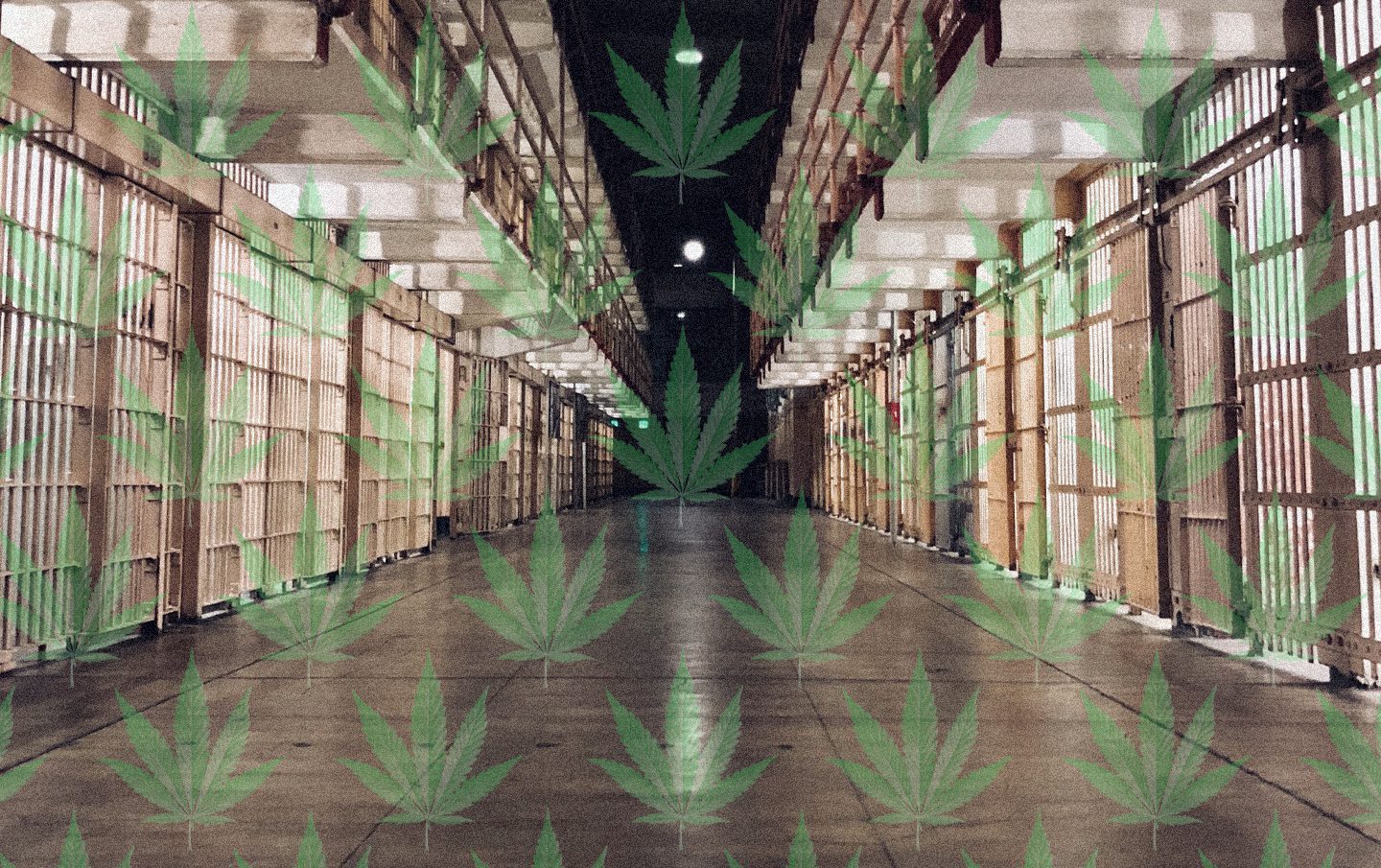 The problem of mass incarceration and cannabis offences