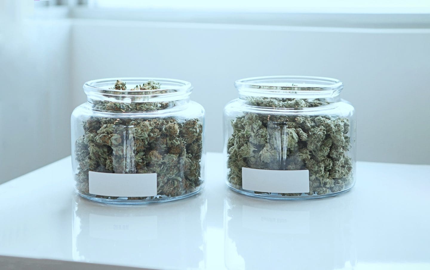 What To Expect During Your First Dispensary Visit