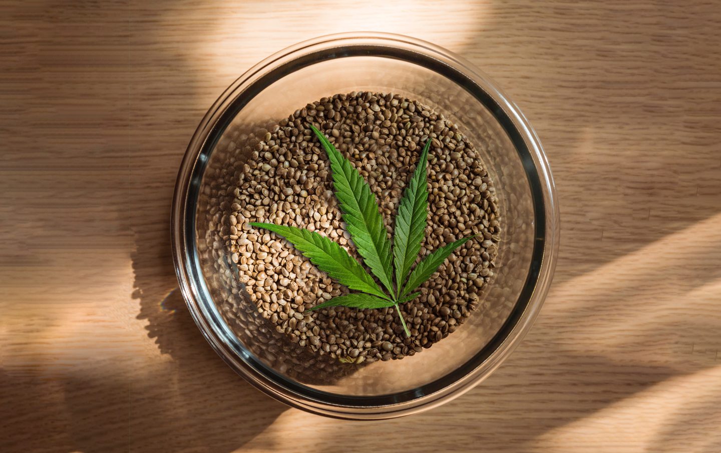 cannabis leaf lying in cannabis seeds inside a transparent bowl