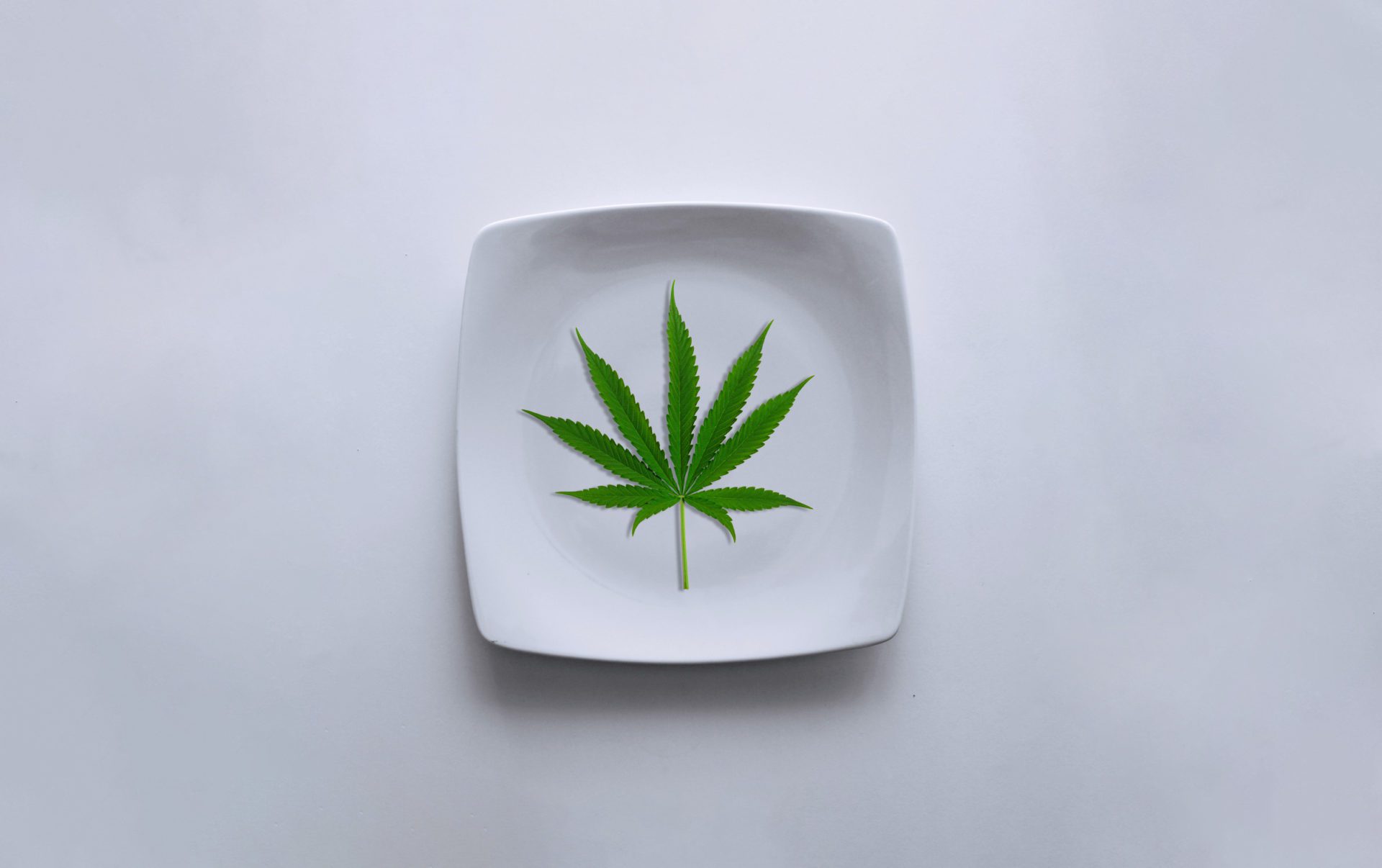 cannabis for eating disorder