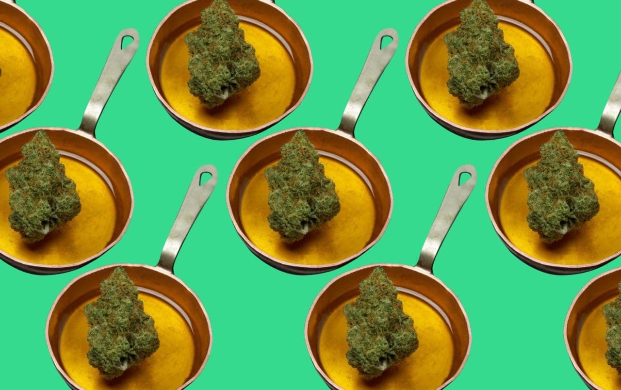 Receta de Aceite de Cannabis: Cómo hacerlo en casa