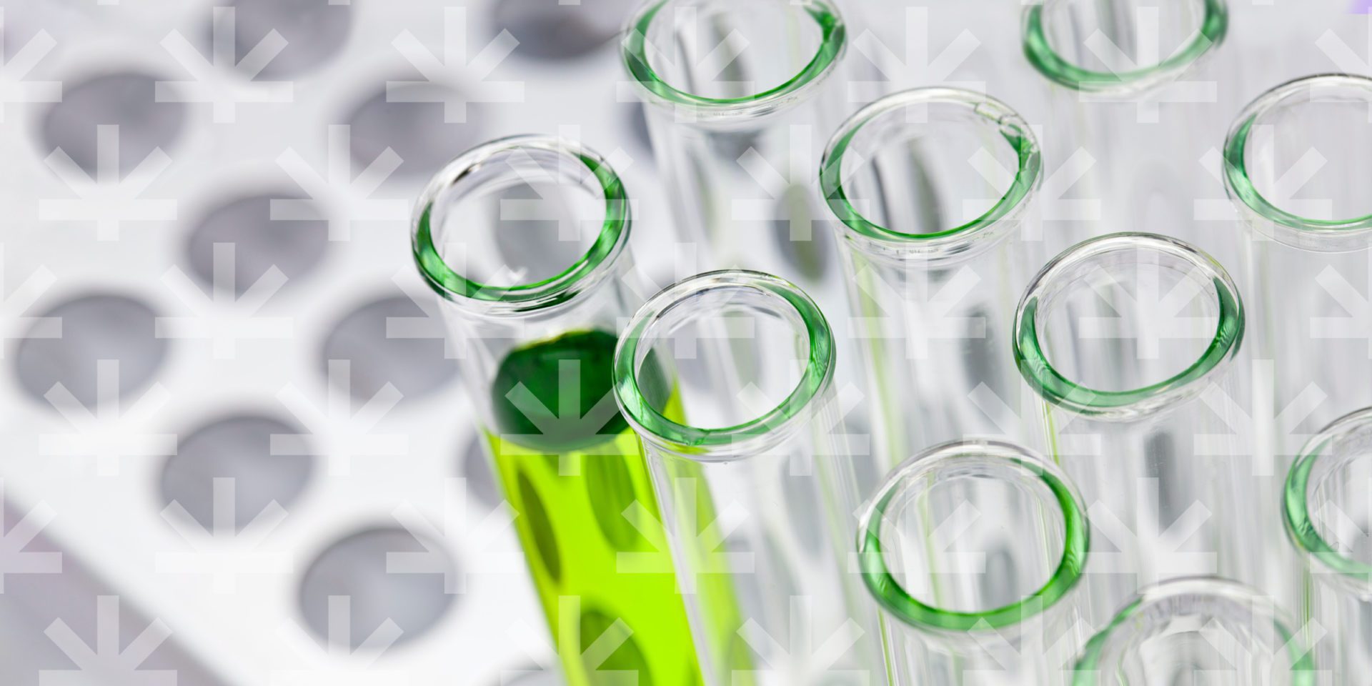 group laboratory of test tubes, one test tube contains green liquid