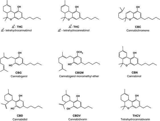 The chemical structure of various cannabinoids, including Cannabigerol Monomethyl Ether (CBGM).