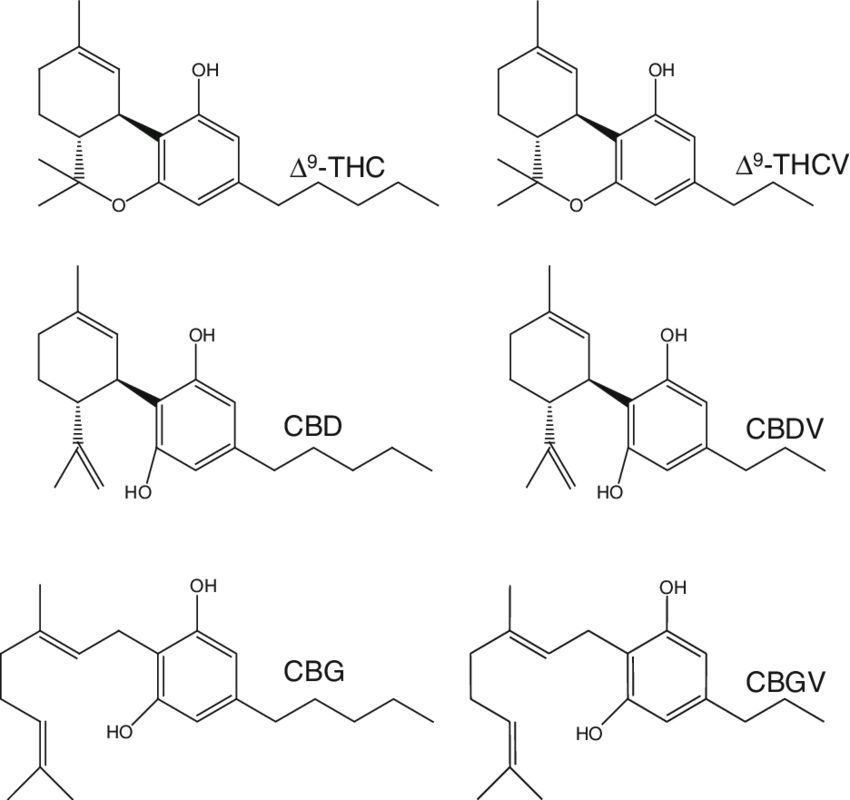 Chemical structures of THC, THCV, CBG, CBDV and CBGV
