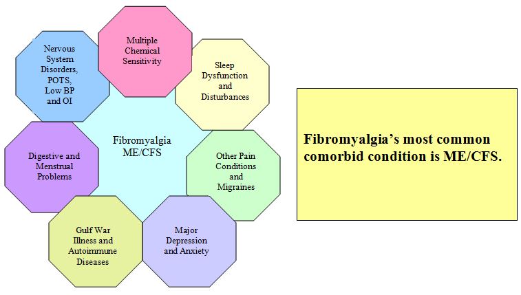 Conditions often suffered alongside fibromyalgia (comorbidity). ME/CFS is most common.