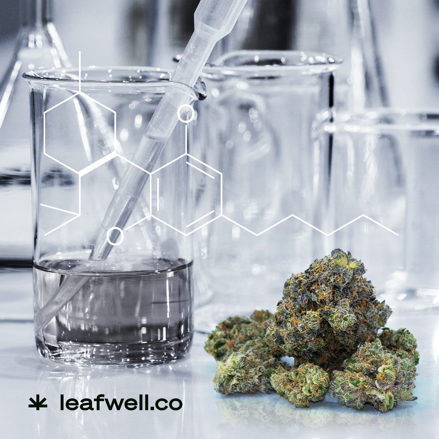 laboratory instruments next to a cannabis flower