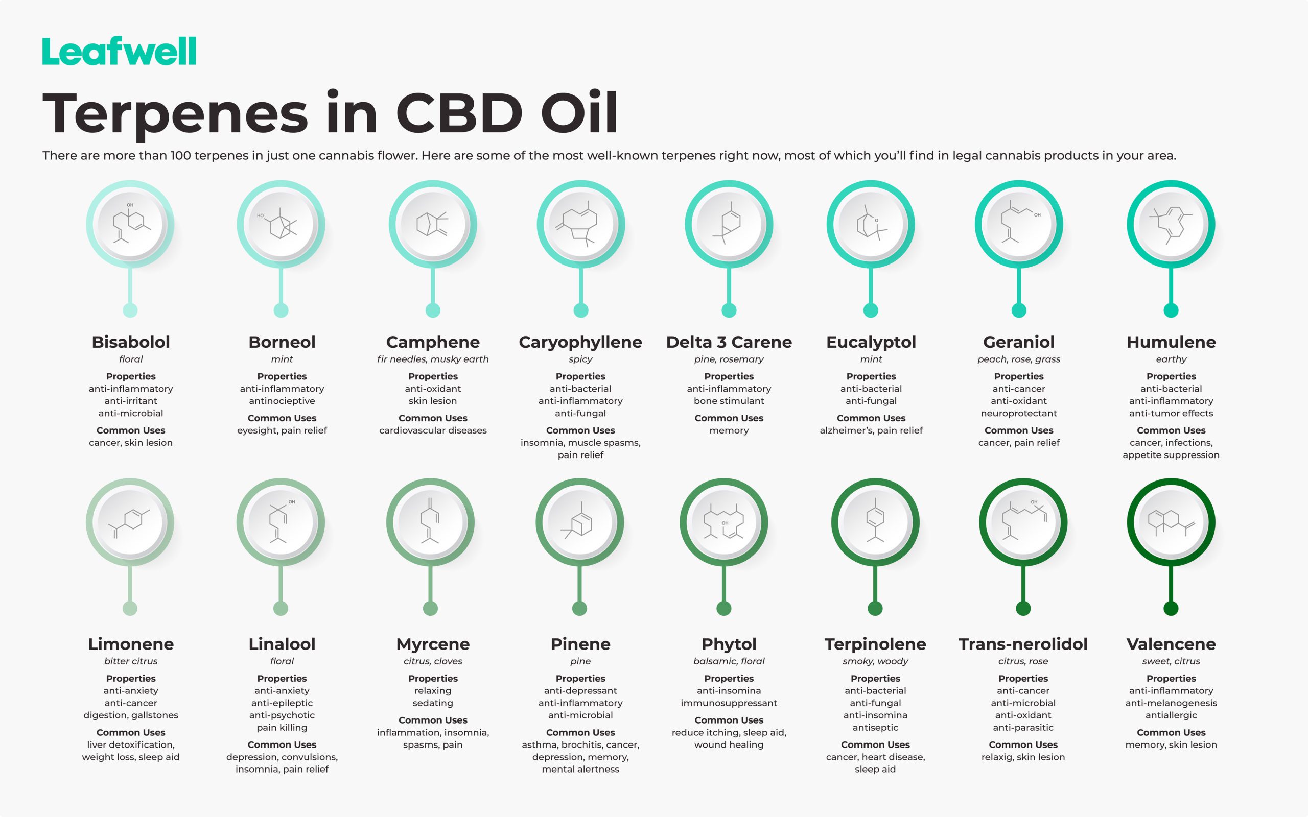 The terpenes found in CBD and cannabis oil, and what they do.