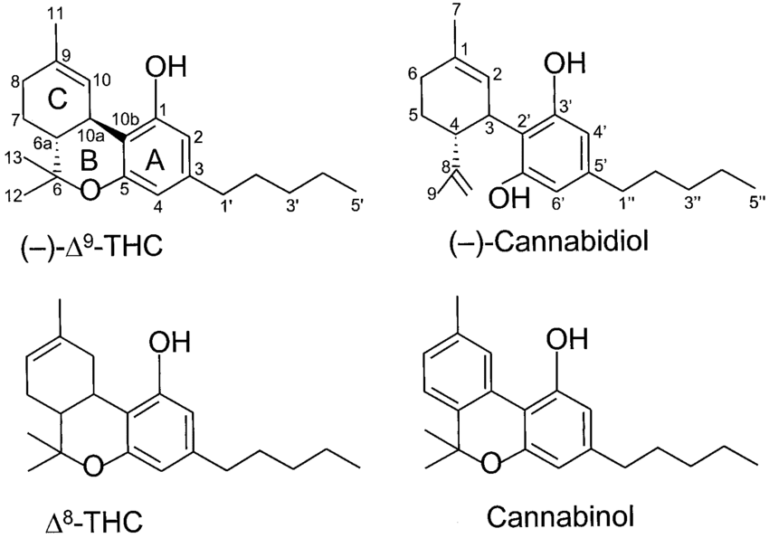 Structure of delta-8 THC, delta-9 THC, cannabidiol (CBD) and cannabinol (CBN)