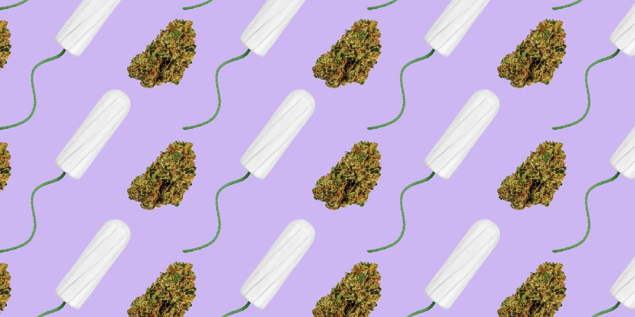 alternate photo of tampons and cannabis buds