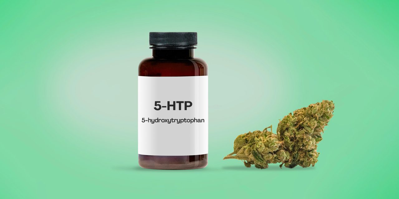 a bottle of 5-HTP beside a cannabis bud