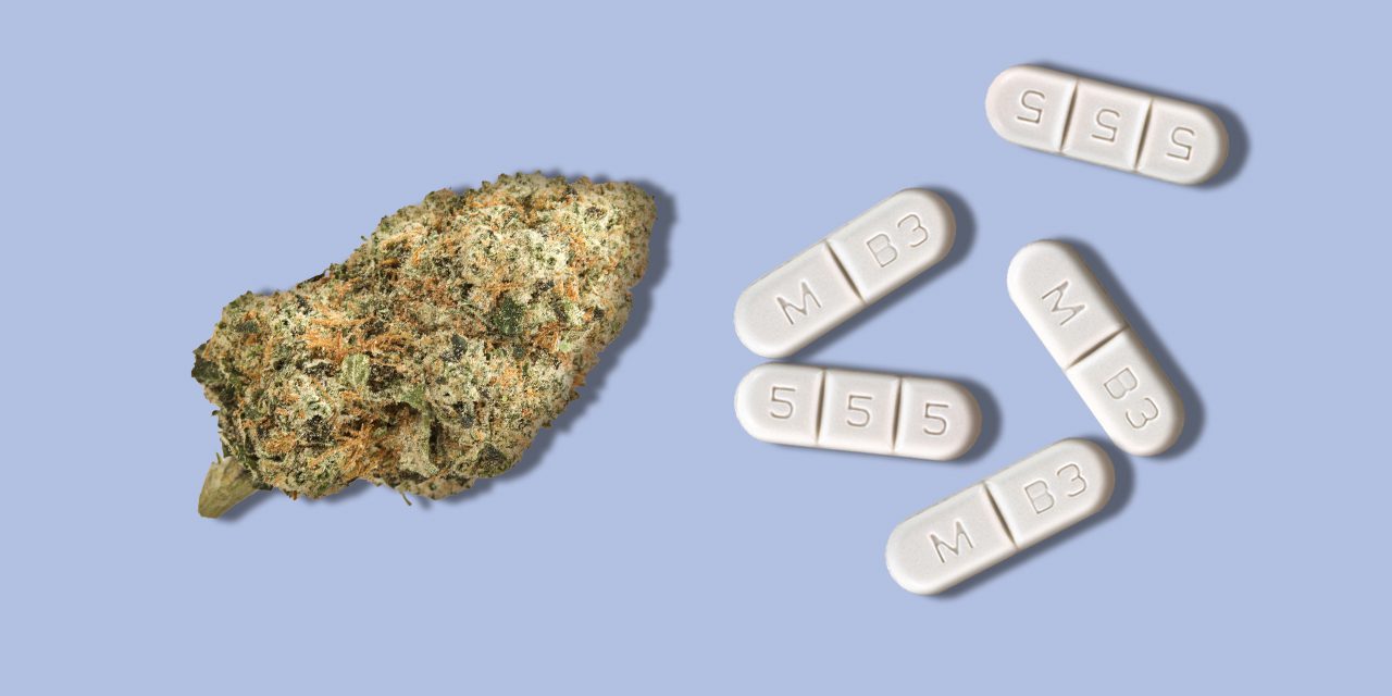 weed and buspirone pills